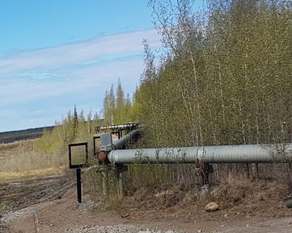 This shows a utilidor replaced in Inuvik Northwest Territories. The steel tubes with adjustable bracing composing the utilidor are placed on structures, through the plants, avoiding contact with the ground. Next to it, you can see two panels protecting the points where the utilidor changes direction. There is also blue, red and orange marker placed across from the utilidor in the grass.