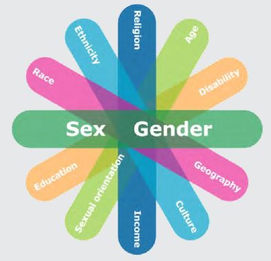 Gender-Based Analysis Plus